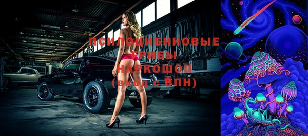 дмт Алексин