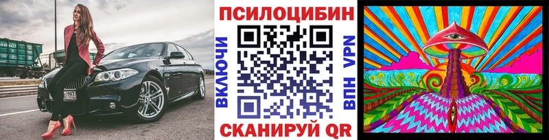 Псилоцибиновые грибы ЛСД  хочу наркоту  Гвардейск 